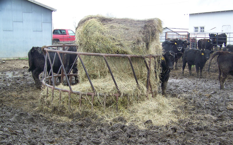 Round Bale Feeder