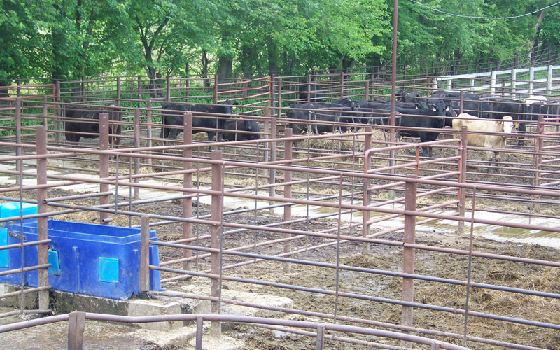 Portable Corral Panel