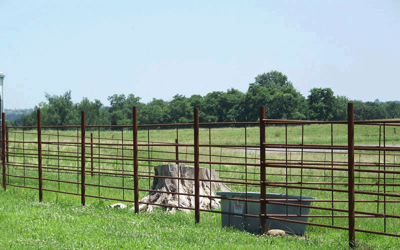 Continuous Fencing Panels - Brad's Welding Shop - Self 