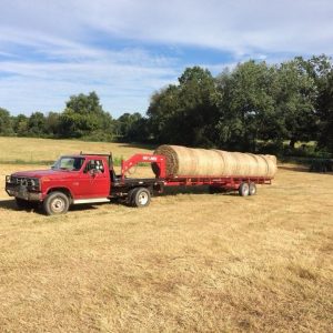 Easy to load Hay Liner Trailer