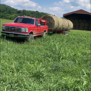 Easy self dumbing hay liner trailer